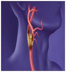 Endocrinologia